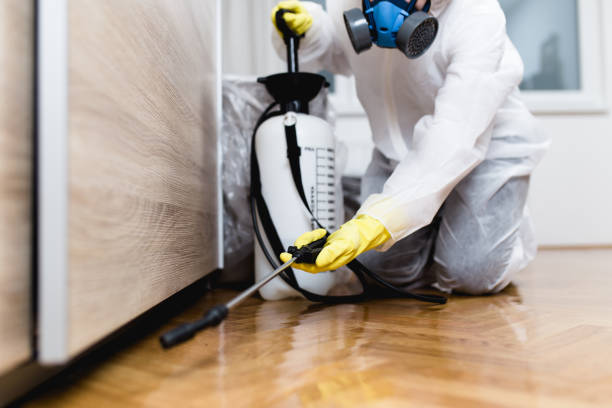 Best Pest Control Treatment  in Longwood, FL